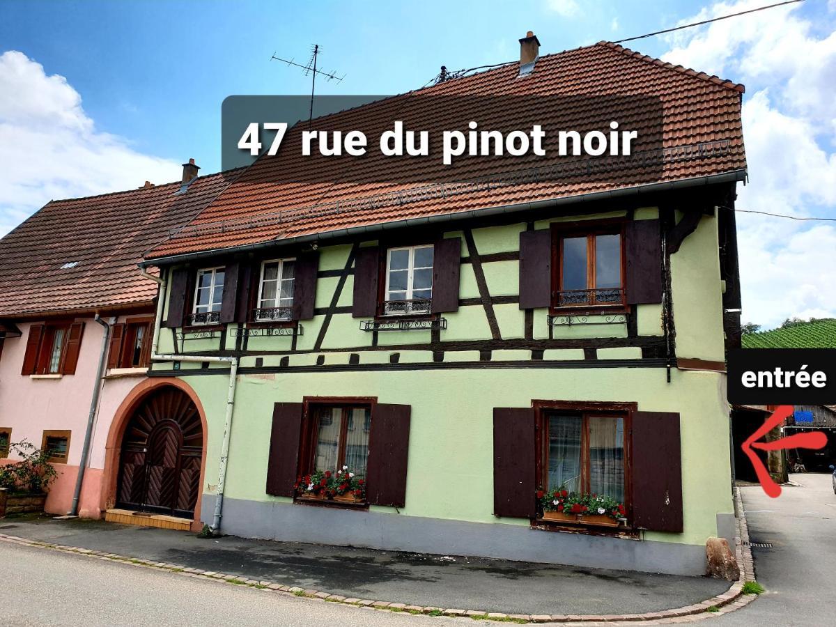 Charmant Appartement Alsacien Rodern Exteriér fotografie